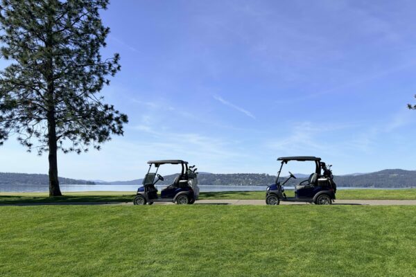 Golf Carts